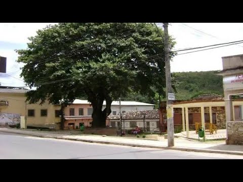 DORES DE CAMPOS / MINAS GERAIS - A cidade da Figueira Encantada