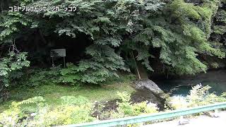 小宮ふるさと自然学校映像監視局