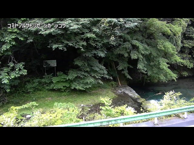 小宮ふるさと自然学校映像監視局