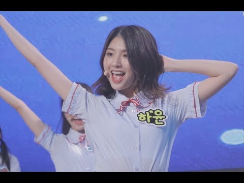 170824 [ 보너스베이비 - Bonusbaby ] 아프리카 tv 공개방송 " 우리끼리 " 하윤 직캠 by 오빠깡
