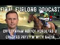 Cheltenham Preview with Gavin Lynch | Novice Chasers & Hurdlers | Championship Hurdlers | Part 1