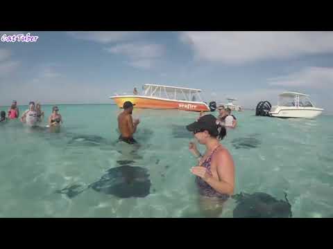 Smeh do suza !!----Funny videos!