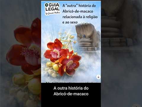 A “outra” história do Abricó de macaco.