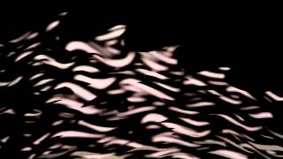 The Luyas - "Moodslayer" (Official Video)