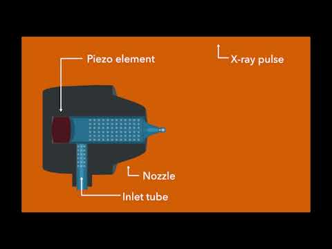 An Overview of the MFX Instrument at LCLS
