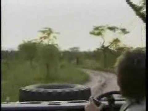 Djuma PM Drive - 2 Male Lions 11/18/07 - 10