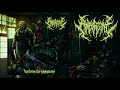 Amborsine Torture To Pleasure 2018 Full Album
