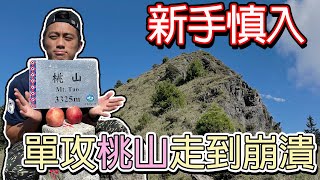 桃山〉新手單攻桃山有多硬？超級陡上腳抽筋硬走！巧遇藍腹鷴