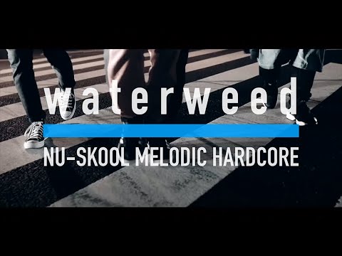 waterweed - July 31 (Music Video)