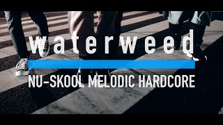 waterweed - July 31 (Music Video)