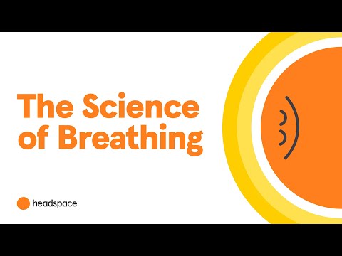 A Neuroscientist Explains How Breathing Impacts the Brain