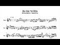 Stéphane Grappelli How High The Moon (transcription)