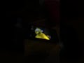 Sesame Street Episode 2023 Ending
