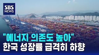 에너지 의존도 높아..한국 성장률 급격히 하향 / SBS / 경제365