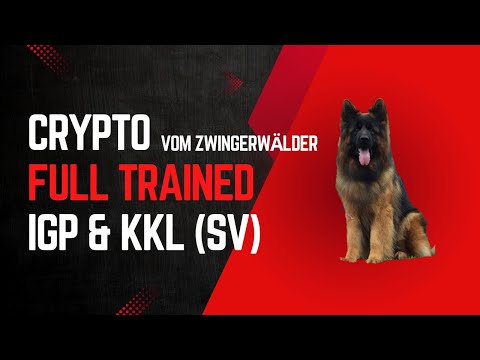 KKL ZTP Breeding License