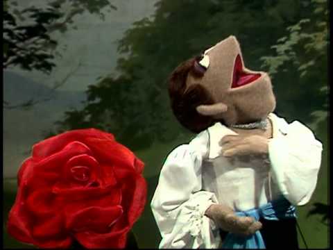 muppet show 3-01 -  my wild irish rose (as only the Muppets can do it)