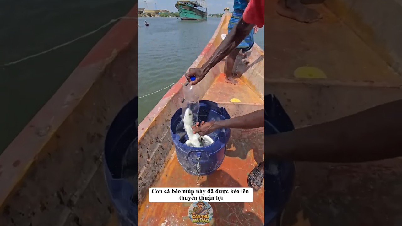Câu cá bằng chai nhựa độc nhất vô nhị