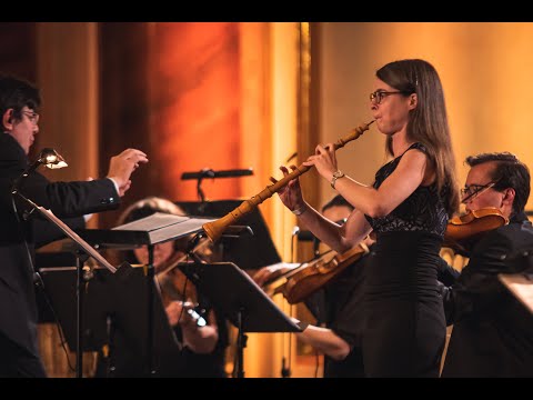 LVHF 2021 | Johann Melchior Pichler (1695–1776) Concertino G dur