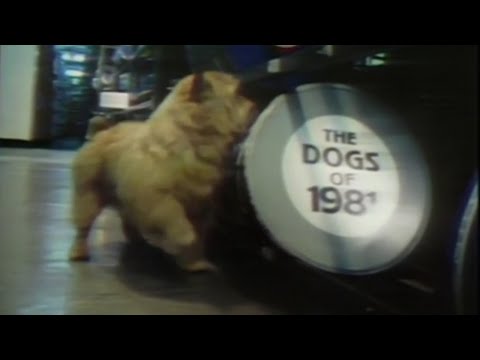 Siskel & Ebert (1982) - The Worst Films of 1981