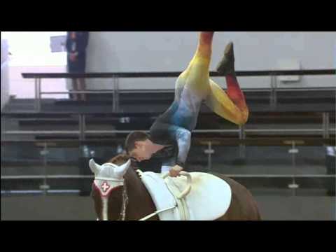 CVI Doha 2015 - Lukas Heppler - Free Style - Swiss Vaulters