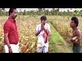 வடிவேலு மரண காமெடி 100 சிரிப்பு உறுதி Vadi