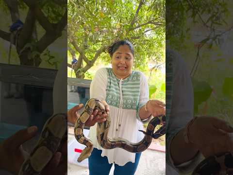 Mee kosam Raw footage #richakka #ytshorts #explore #ShopsyLoot