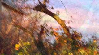 The Dead Man's Dream (the church - Sometime Anywhere)(non-kaleidoscopic)