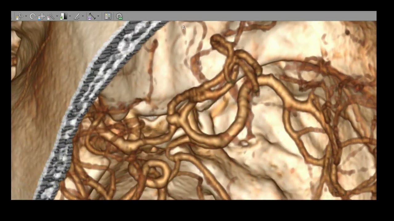 David Tafur Muñoz-2452