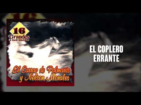 El Coplero Errante - El Carrao De Palmarito | Música Llanera