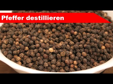 🌷 Pfeffer destillieren 🌻 - Vorbeugen bei Viren und Bakterien mit ätherischem Öl - diSTILLed