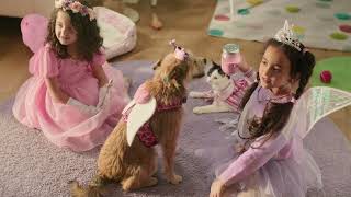 PetSmart Hill's Fairy Dust June Offer