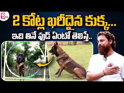 Mantravadi Chandrasekhar about Most Expensive Dog | Mantravadi Chandrasekhar Interview
