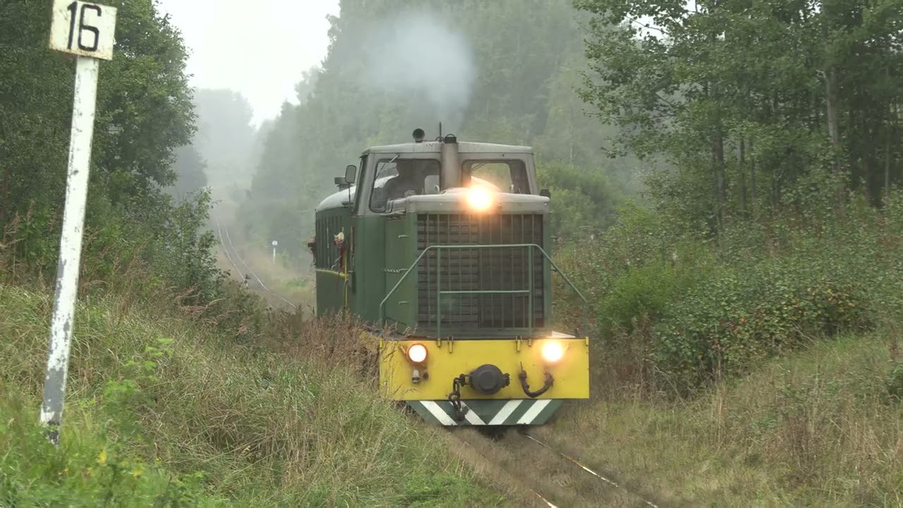 Тепловоз ТУ7A-2994 близ ст. Калниена / TU7A-2994 near Kalniena station
