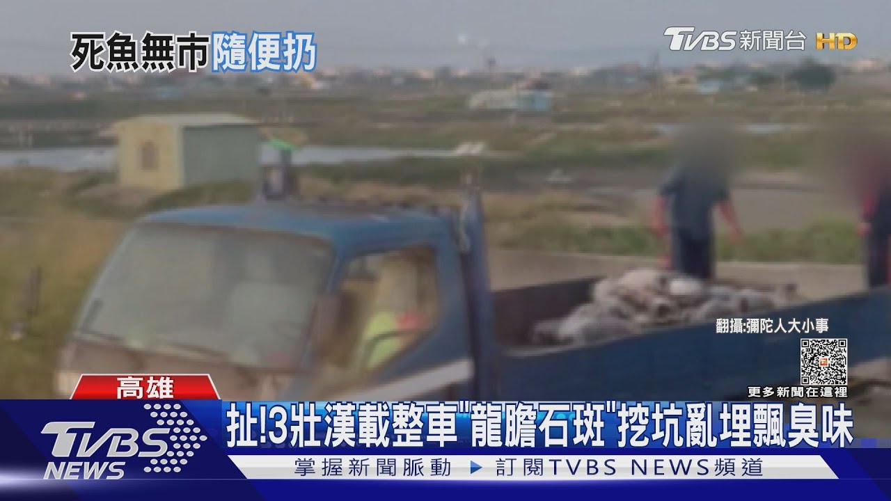 扯!3壯漢載整車「龍膽石斑」 挖坑亂埋飄臭味