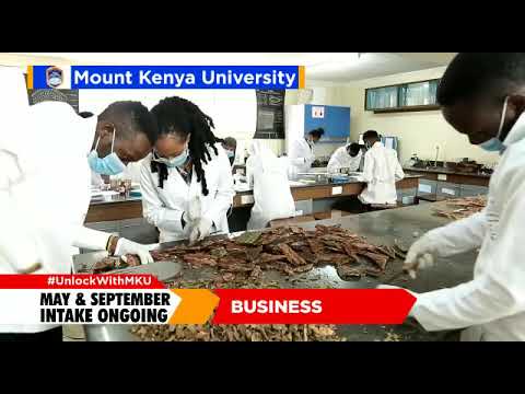 September 2022 Intake