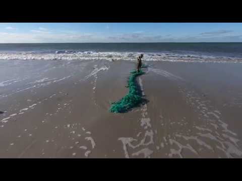 Naturfilm: Winterstille auf Sylt