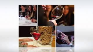 preview picture of video 'Wine&Business Priorat'