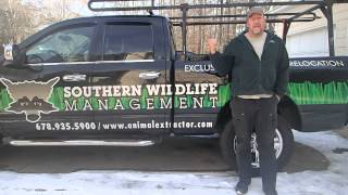 preview picture of video 'What to consider when Beaver Trapping in Johns Creek - Alpharetta - Duluth Georgia'