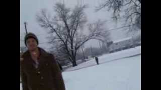 Dingo in the snow!