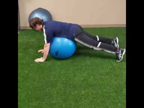 Swiss Ball Opposite Arm and Leg Lift | myworkouts.io