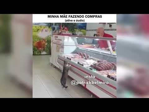 Perereca do halabama