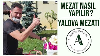 Çiçek Mezatı Nasıl Yapılır ? | Yalova Mezatı