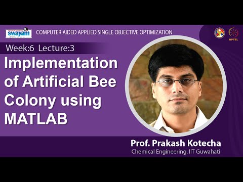 Computer Aided Applied Single Objective Optimization Introduction Video