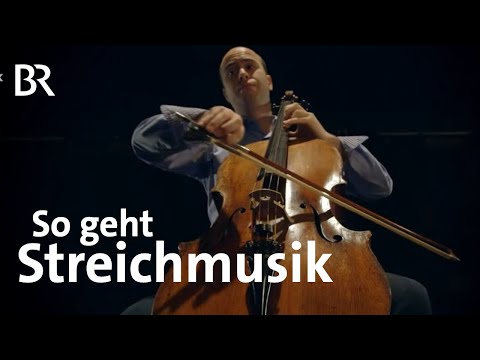 Mitten im RO: Die Streicher | Münchner Rundfunkorchester | BR KLASSIK