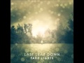 Last Leaf Down - In Dreams 