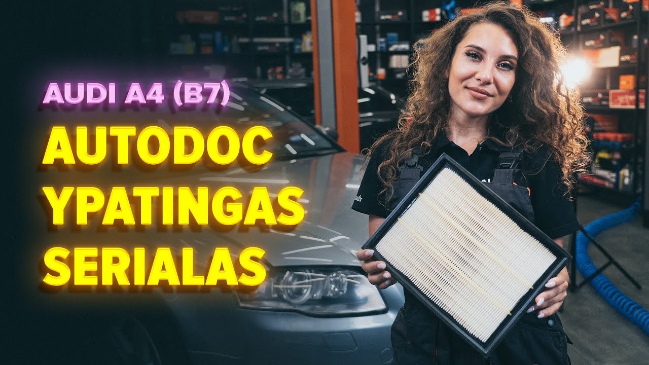 Kaip pakeisti Audi A4 B7 oro filtro - keitimo instrukcija