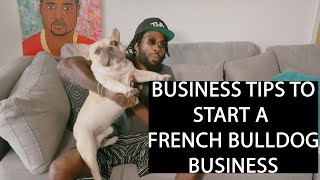 TIPS ON HOW TO CREATE A DOG BUSINESS WITH YOUR FRENCH BULLDOGS AND GET RICH