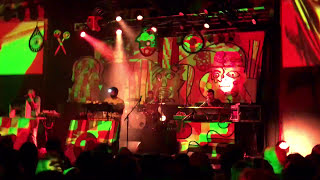 Animal Collective -  FloriDada (Live)