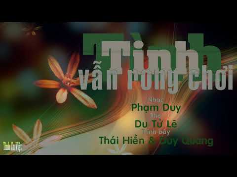 Tình vẫn rong chơi - Thái Hiền