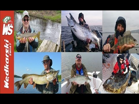 Prezentacja ryb złowionych w 2017 roku .